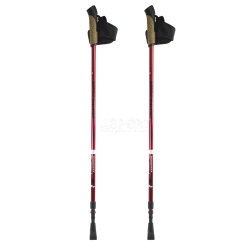 Kije Nordic Walking, regulowana długość, 2-częściowe NW 802 Nils